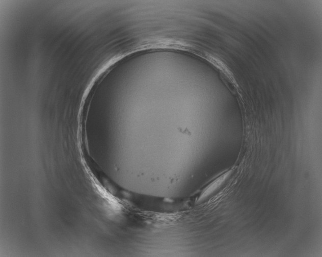 X0000051241136200507011619