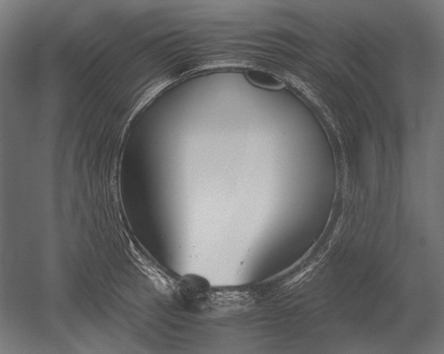 X0000051241137200507011619