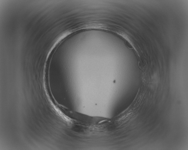 X0000051241139200507011619