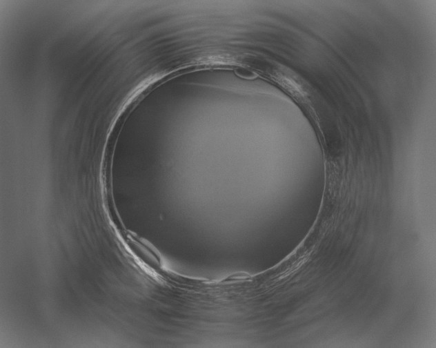 X0000051241141200507011619