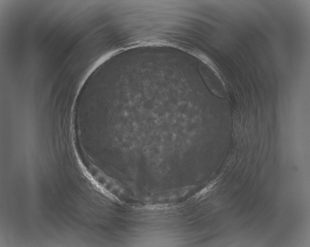 X0000051241142200507011619