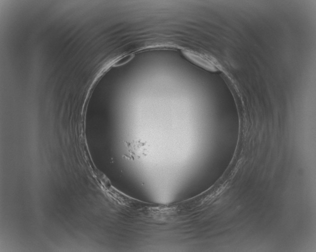 X0000051241145200507011619