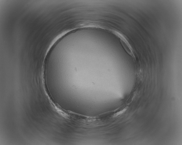 X0000051241149200507011619