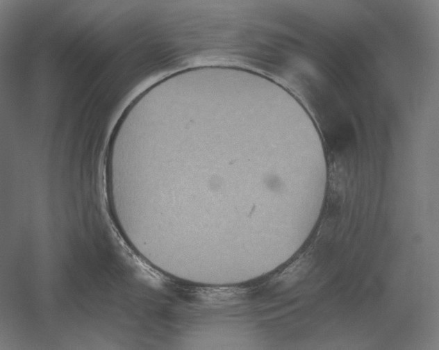 X0000051241150200507011619