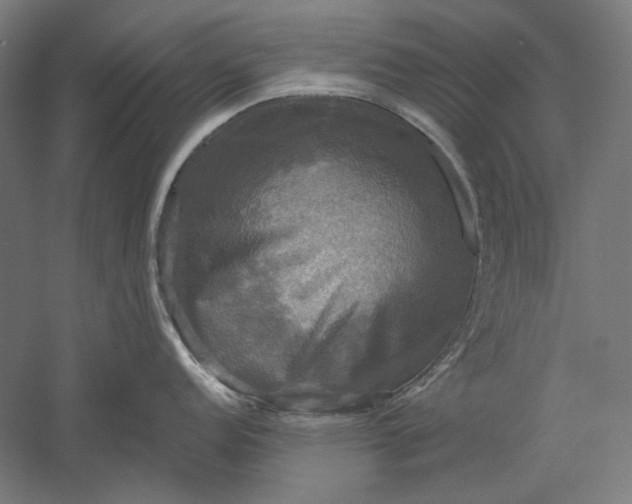 X0000051241152200507011619