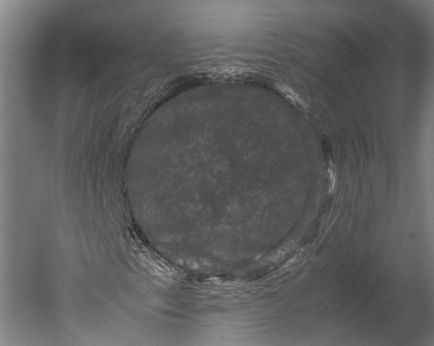 X0000051241153200507011618