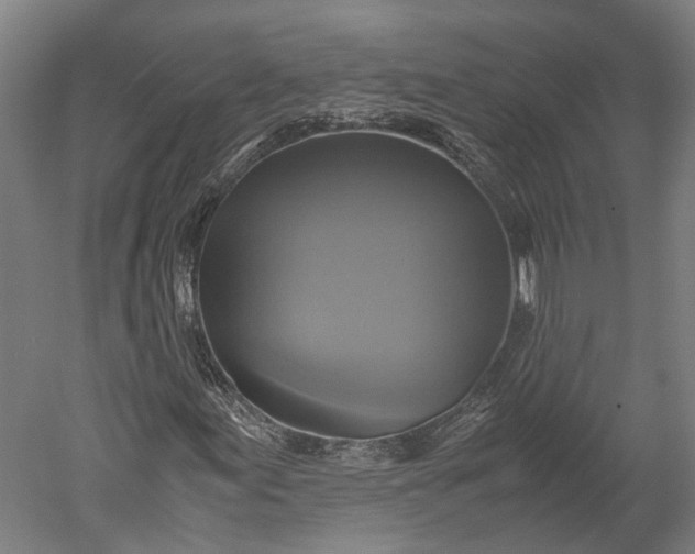 X0000051241155200507011618