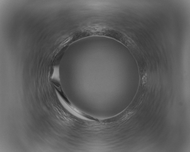 X0000051241156200507011618