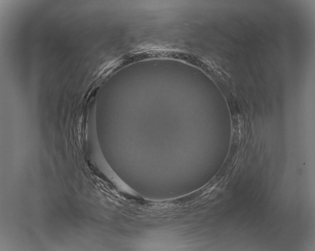 X0000051241157200507011618