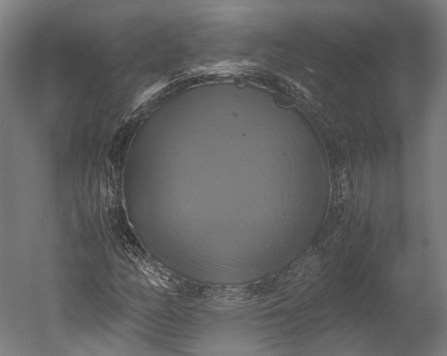 X0000051241158200507011618