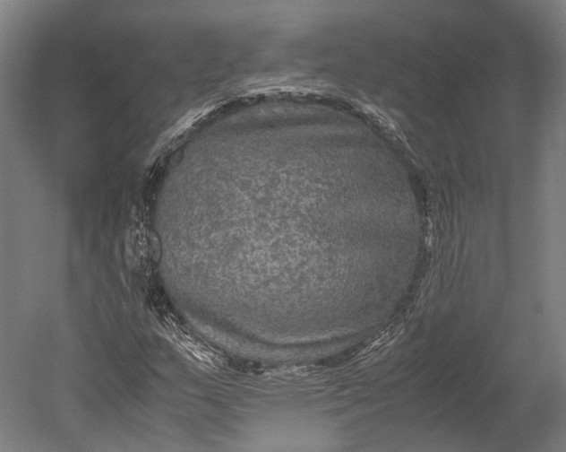 X0000051241159200507011618