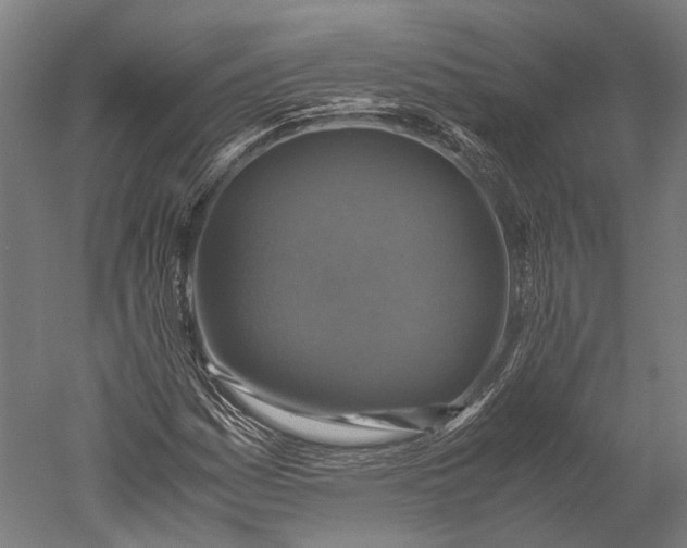 X0000051241161200507011618