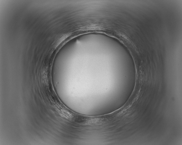 X0000051241162200507011618