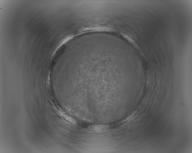 X0000051241163200507011618