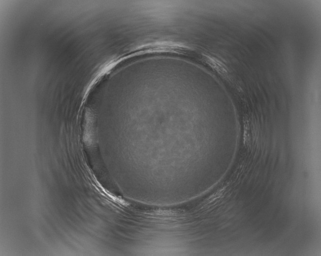 X0000051241164200507011618