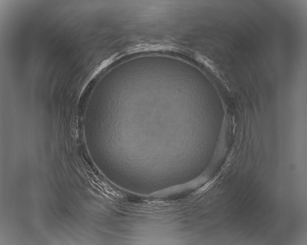 X0000051241165200507011618