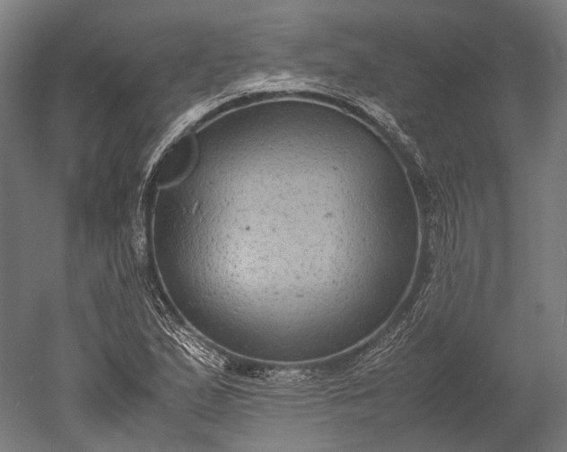 X0000051241167200507011618