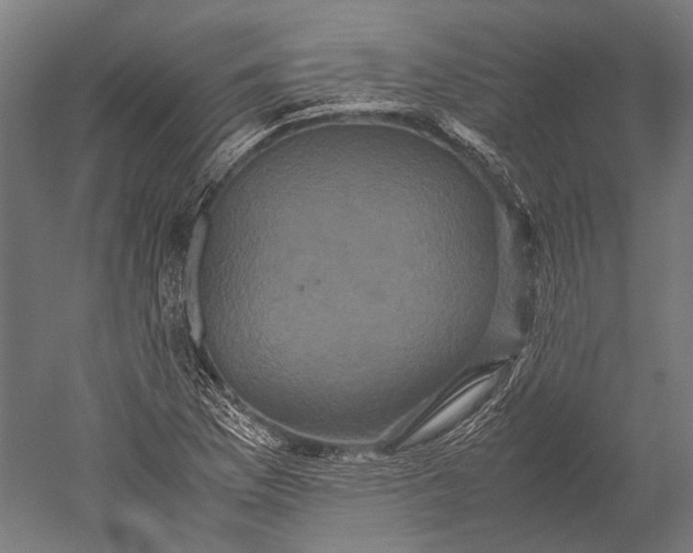 X0000051241169200507011618