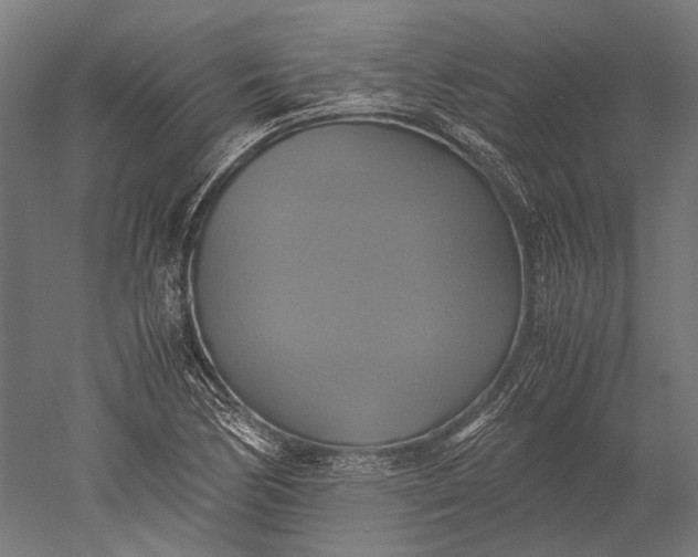 X0000051241170200507011618