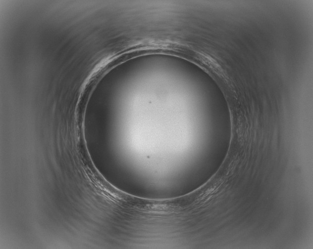 X0000051241172200507011618