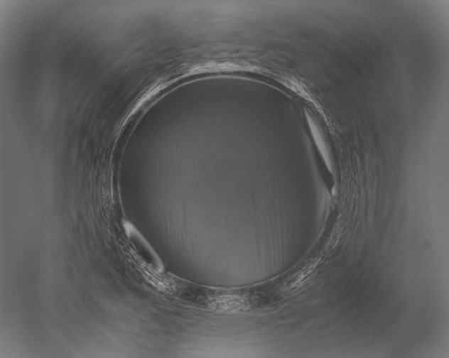 X0000051241173200507011618