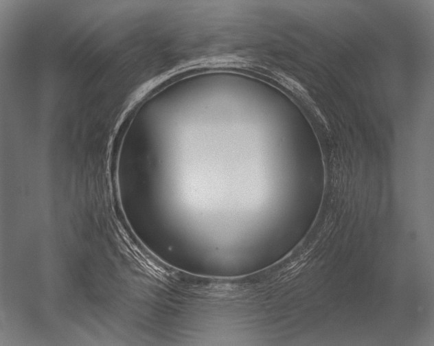 X0000051241176200507011618