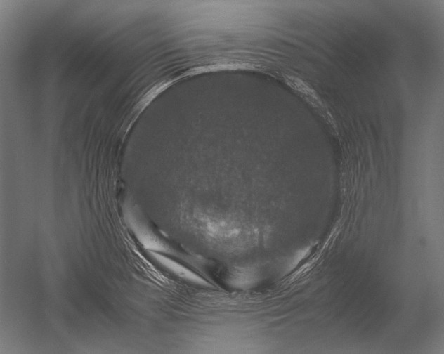 X0000051241177200507011618