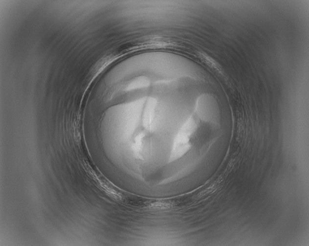 X0000051241178200507011618