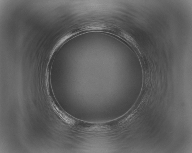 X0000051241179200507011618