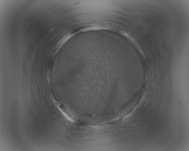 X0000051241185200507011618