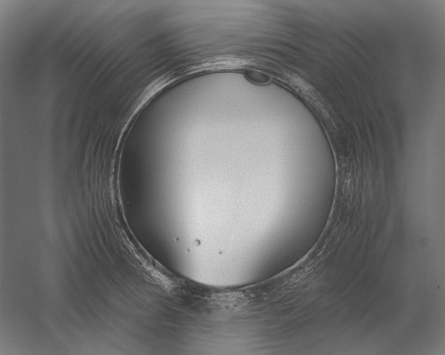 X0000051241186200507011618