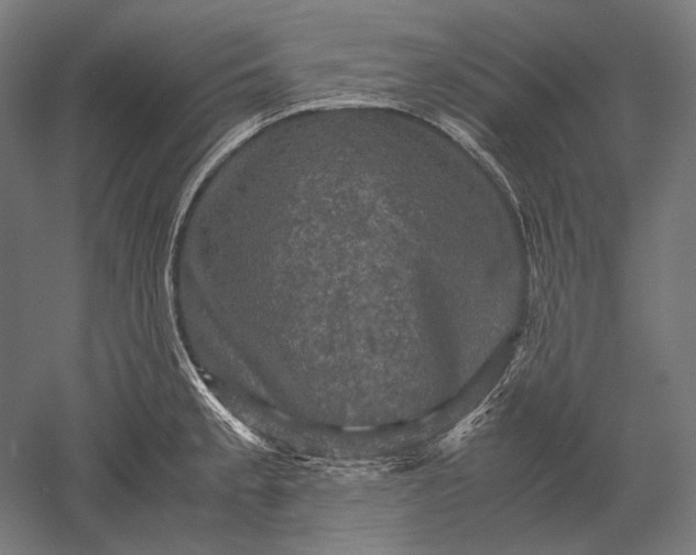 X0000051241189200507011618