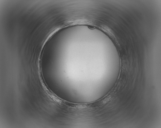 X0000051241190200507011618