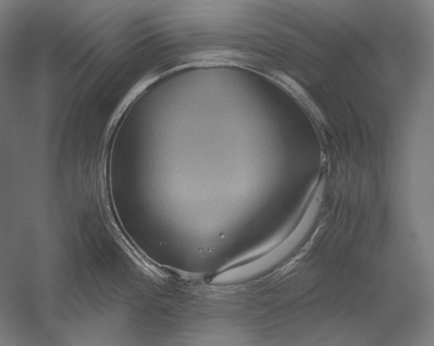 X0000051241196200507011618