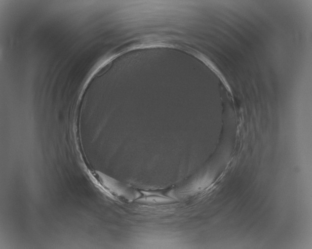 X0000051241197200507011618