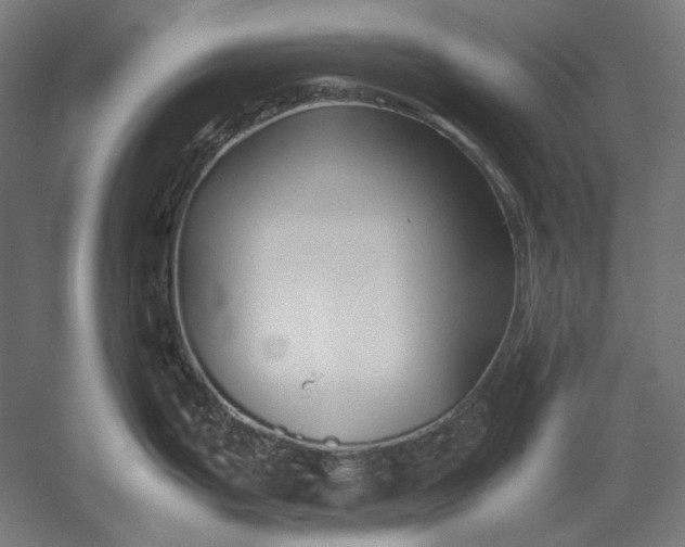 X0000051241199200507011618