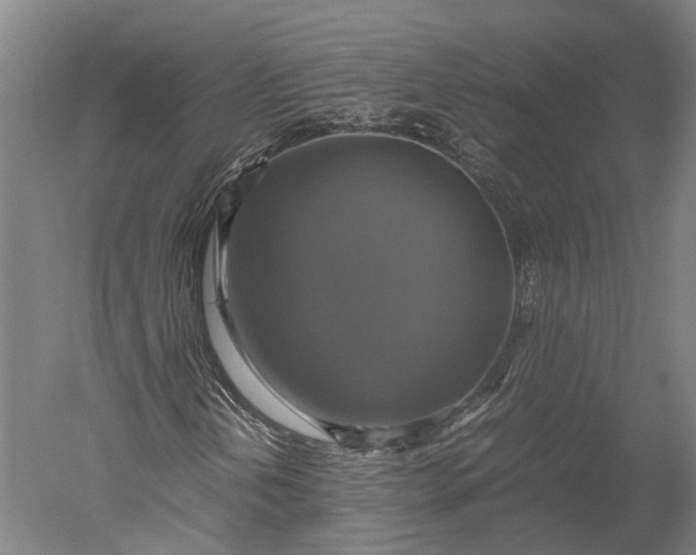 X0000051241202200507011617