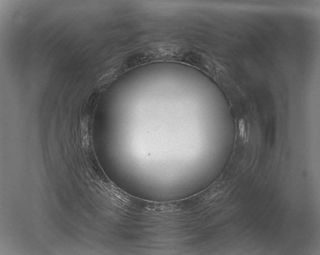 X0000051241203200507011617