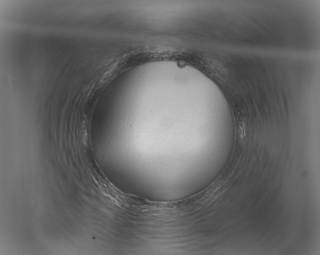 X0000051241204200507011617