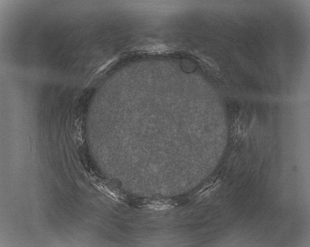 X0000051241205200507011617