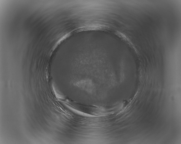 X0000051241210200507011617