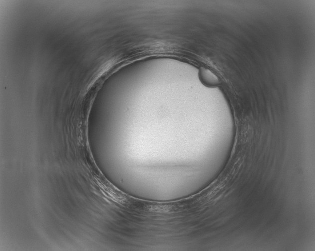 X0000051241211200507011617