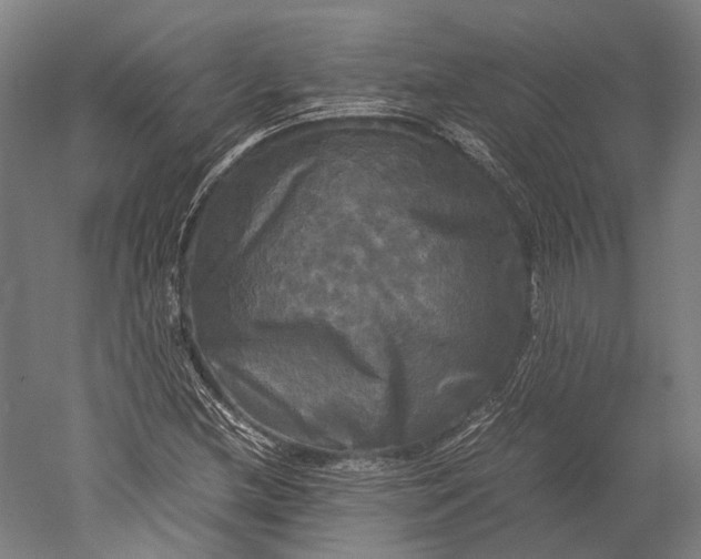 X0000051241212200507011617