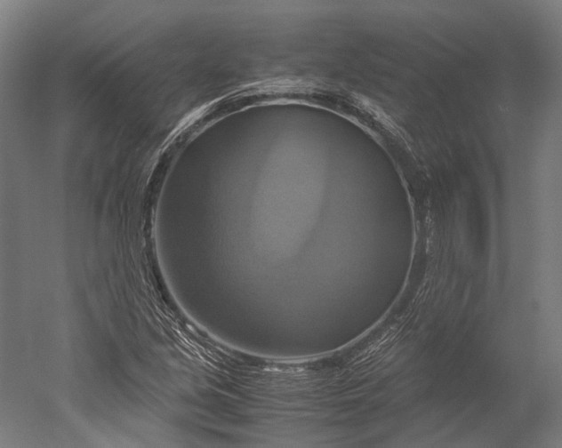 X0000051241213200507011617