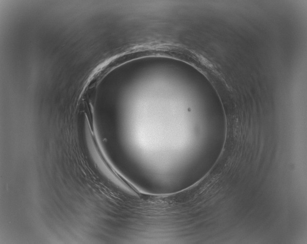 X0000051241214200507011617