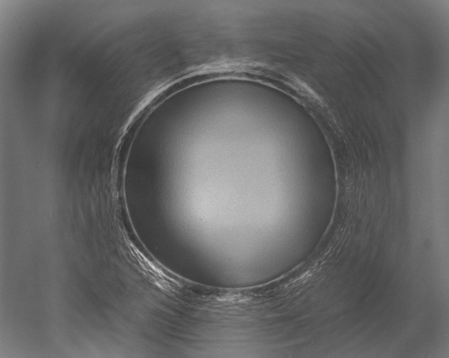 X0000051241216200507011617