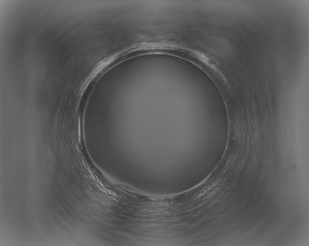 X0000051241221200507011617