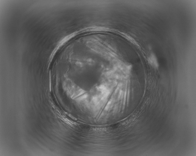 X0000051241223200507011617