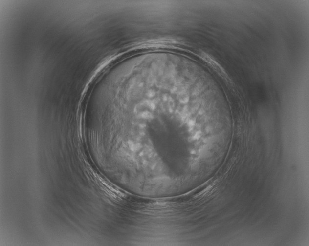 X0000051241224200507011617