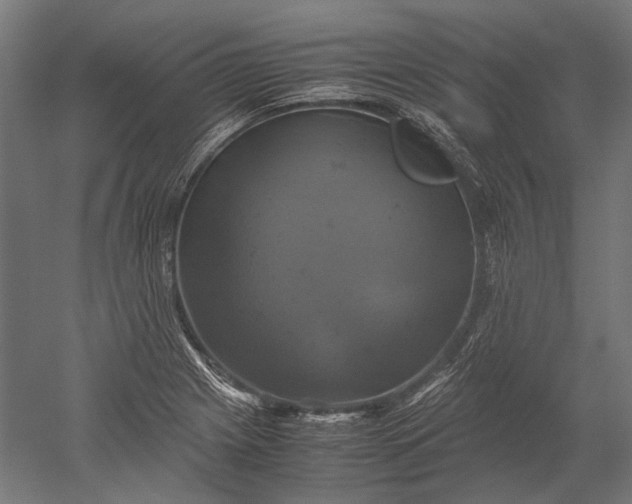 X0000051241225200507011617